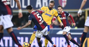 Vittoria Nero Azzurra - La Juventus Distrugge il Bologna.